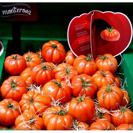 Monte Rosa Räfflad Rosa Tomatfrön