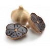 Price: €2.25 - Black Garlic Cloves (Allium roseum) - 