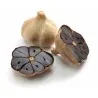 Dentes De Alho Preto (Allium roseum)