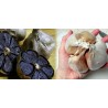 Price: €2.25 - Black Garlic Cloves (Allium roseum) - 