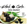 Dentes De Alho Preto (Allium roseum)