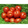 Semillas de tomate de Volgogrado - variedad rusa