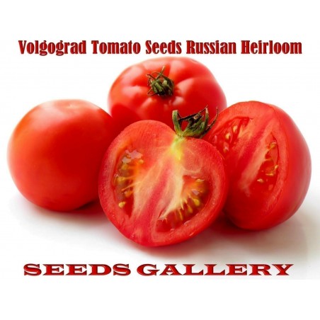 Price: €2.05 - Volgograd Tomato Seeds Russian Heirloom - Seeds Gallery