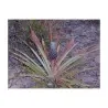 Ananas Seeds "pineapple"