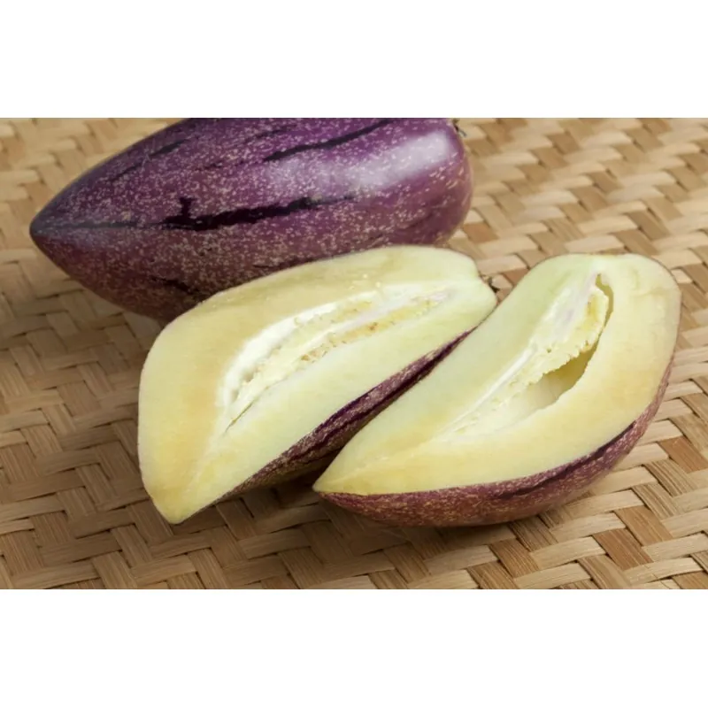 Semi di Pepino Gigante Viola Rari (Solanum muricatum)