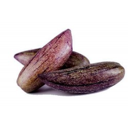 Semi di Pepino Viola Gigante Rari (Solanum muricatum)