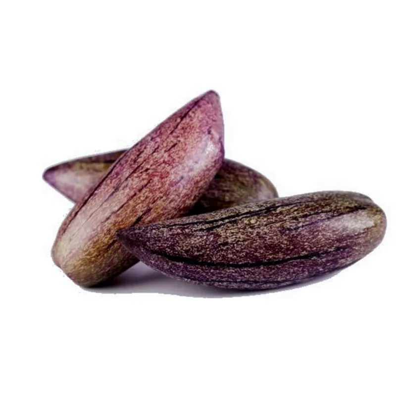 Graines Pepino Ou Poire-Melon Géant Violet Rares (Solanum muricatum)