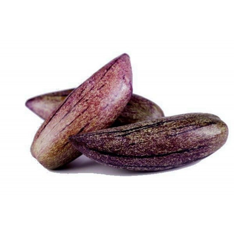 Seltene Lila Riesen-Pepino Samen (Solanum muricatum) | 2,50 €