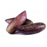 Seltene Lila Riesen-Pepino Samen (Solanum muricatum) | 2,50 €