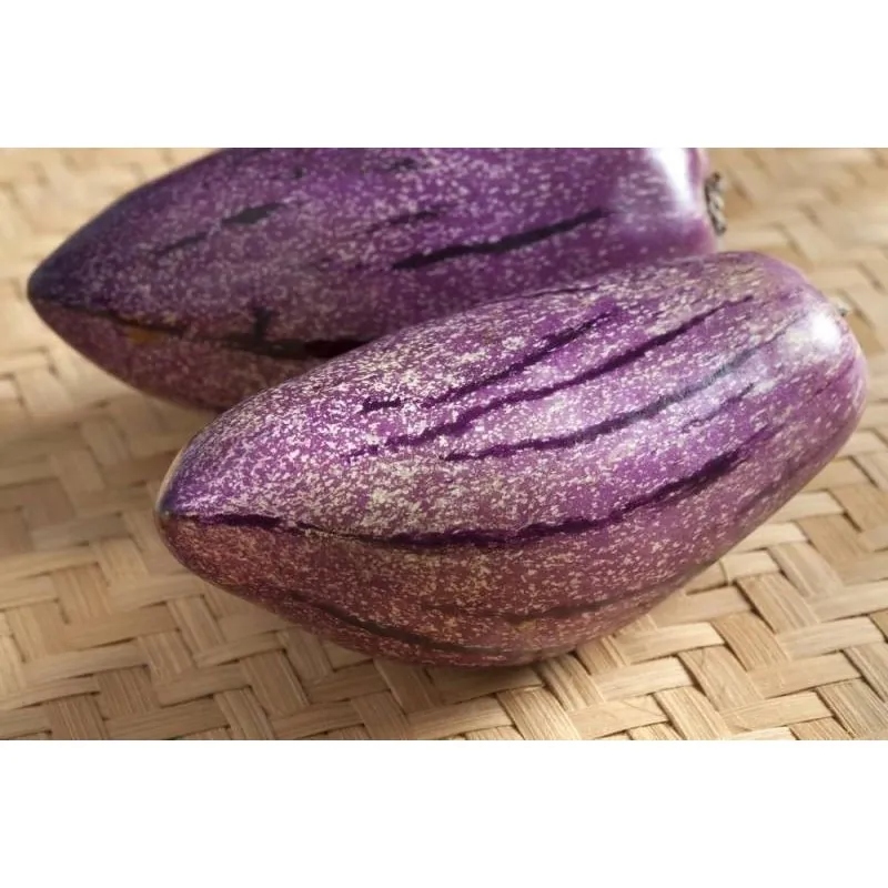 Semi di Pepino Gigante Viola Rari (Solanum muricatum)