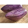 Graines Pepino Ou Poire-Melon Géant Violet Rares (Solanum muricatum) | 2,50 €