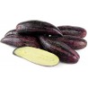 Graines Pepino Ou Poire-Melon Géant Violet Rares (Solanum muricatum) | 2,50 €