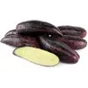 Seltene Lila Riesen-Pepino Samen (Solanum muricatum)