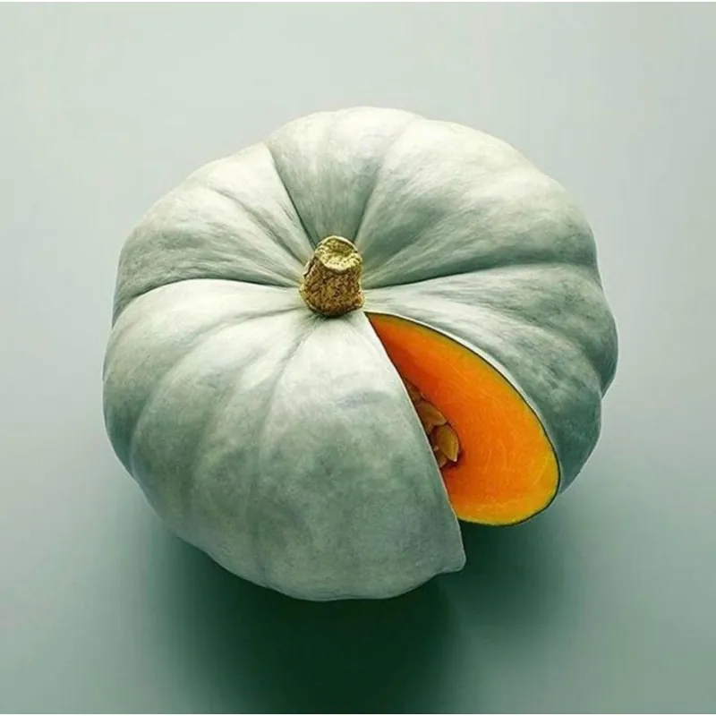 Prince Crown Pumpkin Seeds