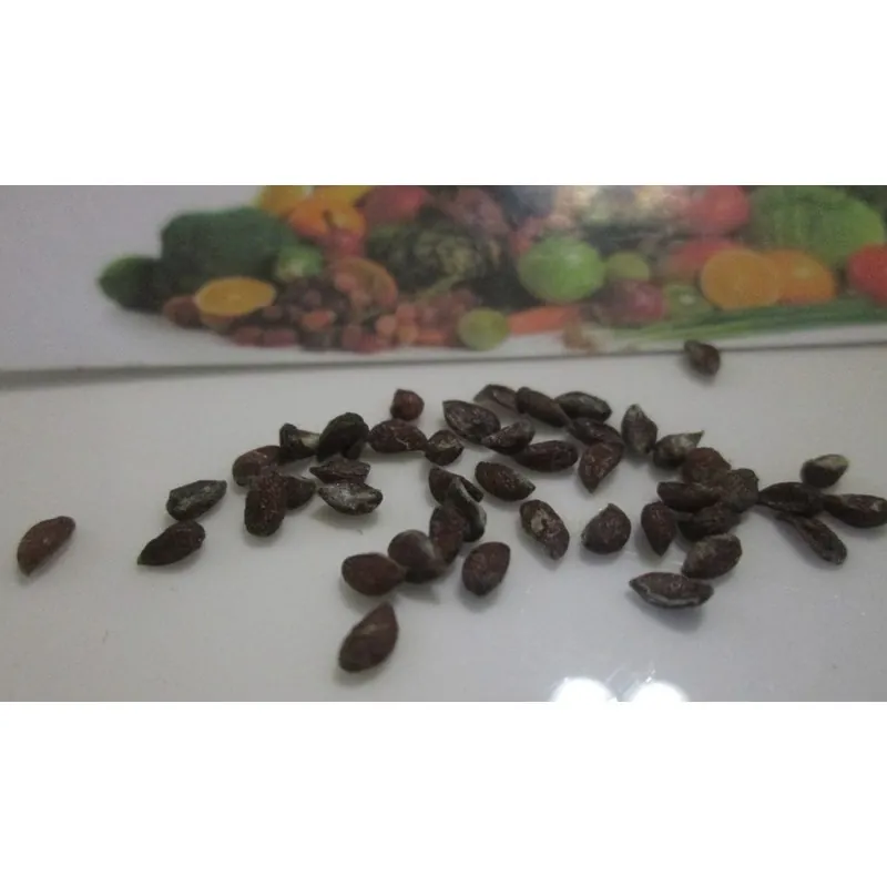 Ananas Seeds "pineapple"
