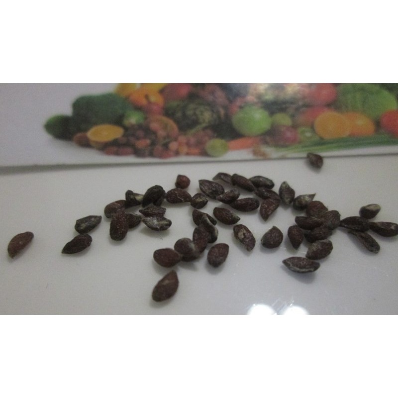 Price: €3.5 - Sementes de Ananás ou abacaxi - 
