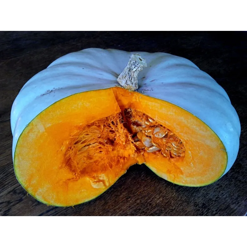 Prince Crown Pumpkin Seeds