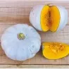 Prince Crown Pumpkin Seeds