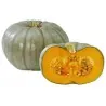 Prince Crown Pumpkin Seeds