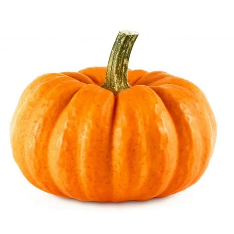 Mini Muskatkürbis Samen