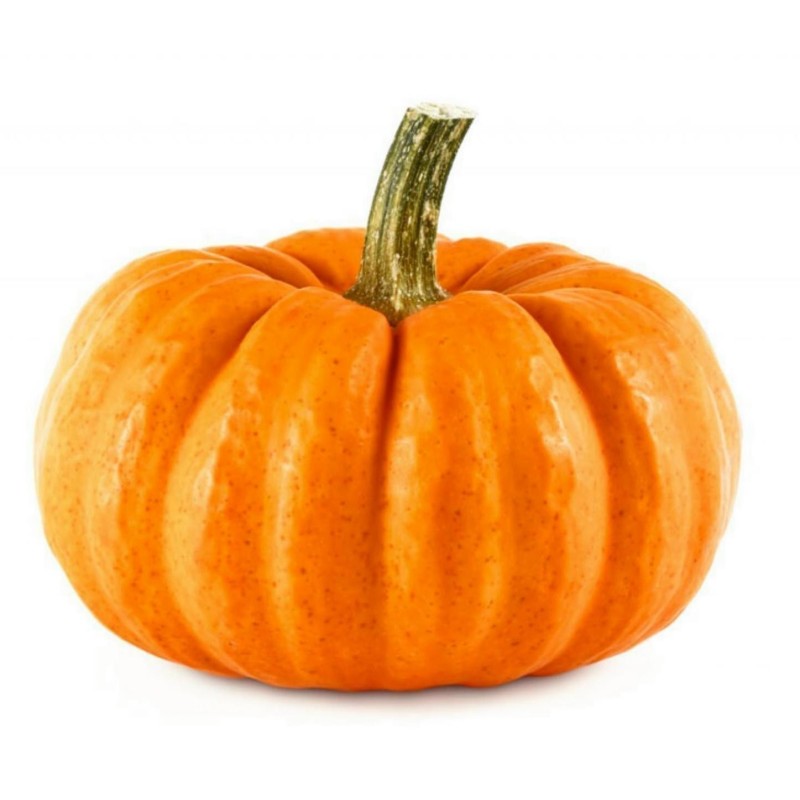 Sementes de abóbora Mini Musk