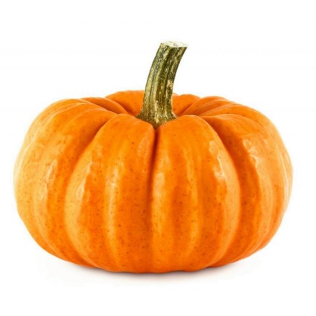 Sementes de abóbora Mini Musk