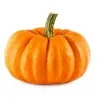 Semi di zucca Mini Musk