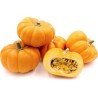Sementes de abóbora Mini Musk