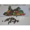 Ananas Seeds "pineapple"