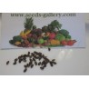 Price: €3.5 - Sementes de Ananás ou abacaxi - 