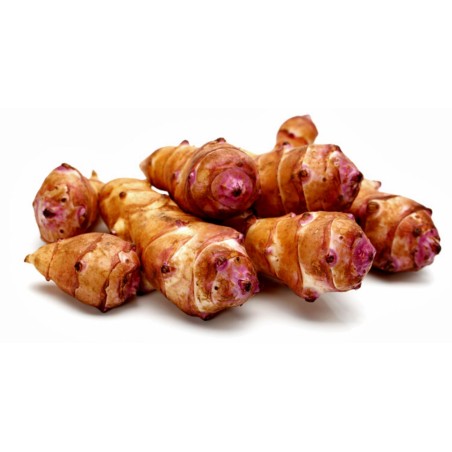 Tuberi di topinambur