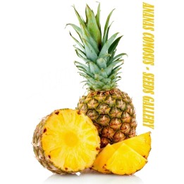 Ananas Seeds pineapple - 410.513513