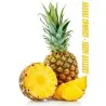 Ananas Seeds "pineapple"