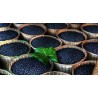 Price: €2.85 - Graines de Maqui du Chili (Aristotelia Chilensis) - 