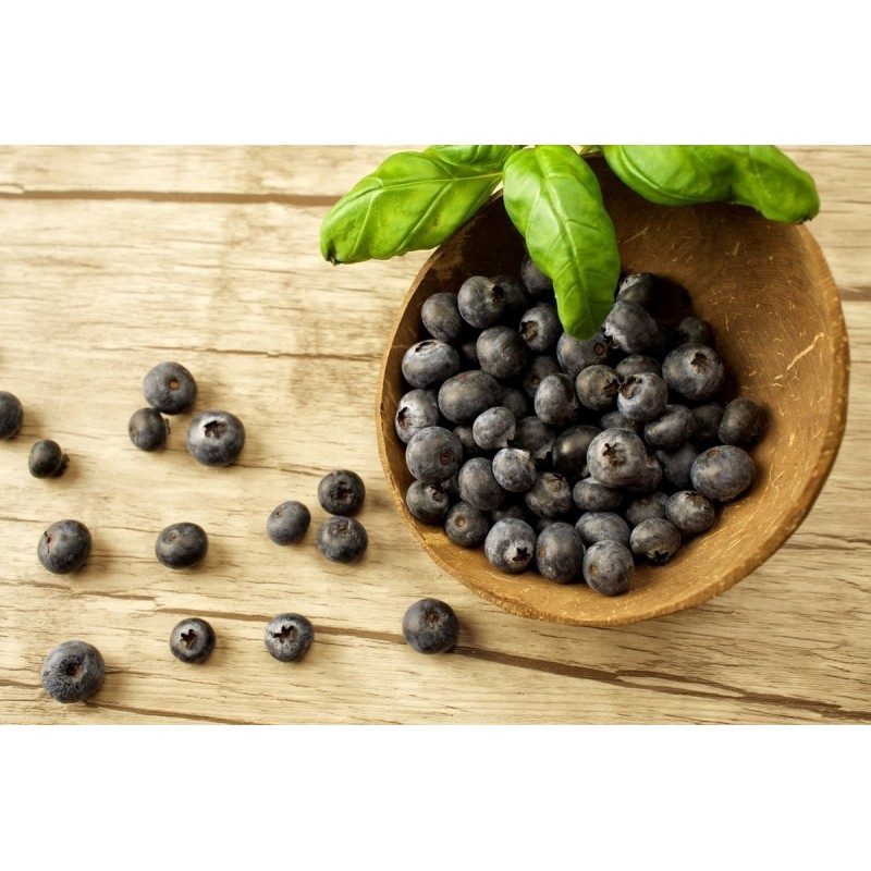 Price: €2.85 - Σποροι Maqui Σούπερ φρούτα (Aristotelia Chilensis) - 