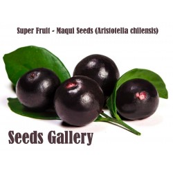 Semi di Maqui Super frutta (Aristotelia Chilensis)