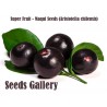 Price: €2.85 - Semena Zázračné bobule - Maqui (Aristotelia chilensis) - 