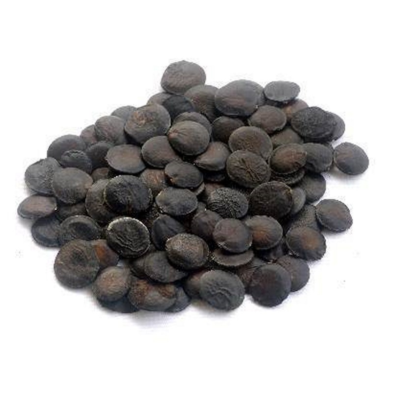 Price: €3.95 - Graines de Griffonia simplicifolia - 