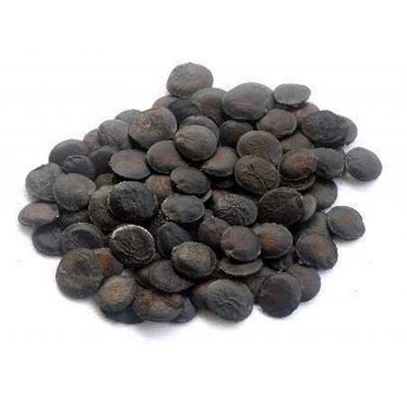 Price: €3.95 - Graines de Griffonia simplicifolia -