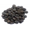 Price: €3.95 - Graines de Griffonia simplicifolia - 