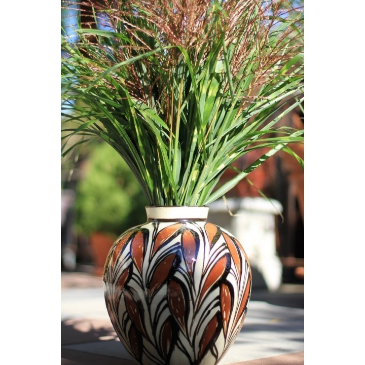Zebra Grass Seeds (Miscanthus sinensis Zebrinus) - 1.395