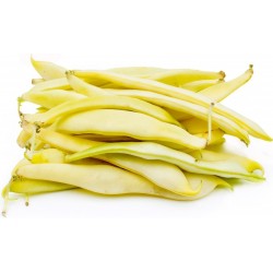 Price: €1.35 - Sementes De Feijão Jerusalem (Phaseolus vulgaris L.) - 