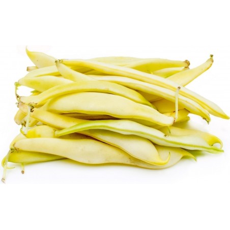 Price: €1.35 - Sementes De Feijão Jerusalem (Phaseolus vulgaris L.) -
