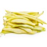 Graines de Haricots Jérusalem (Phaseolus vulgaris L.)