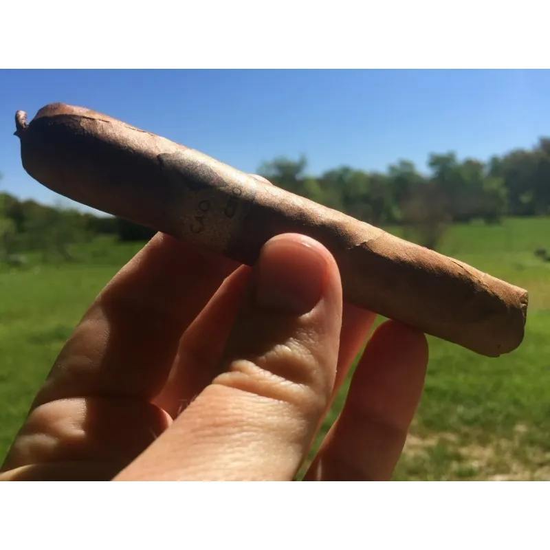 Cuban Criollo 98 Tabaksamen