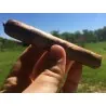 Cuban Criollo 98 Tabaksamen
