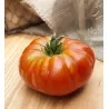 Seme paradajza Pantano Romanesco