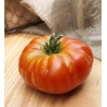 Price: €1.95 - Semillas de tomate Pantano Romanesco - 