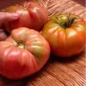 Seme paradajza Pantano Romanesco