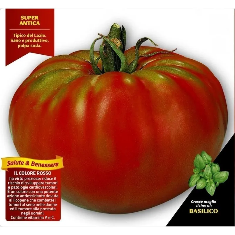Seme paradajza Pantano Romanesco